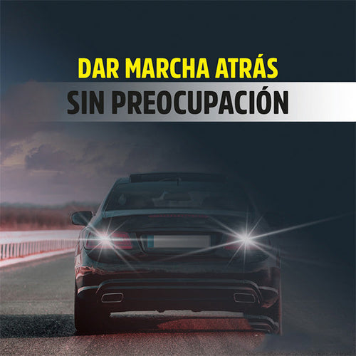 gid://shopify/MediaImage/26444669354019